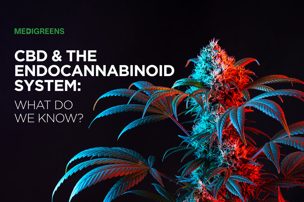 CBD and the Endocannabinoid System: What Do We Know?